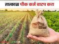 Crop Loan Disbursement: खरीप हंगाम बैठक! पीक कर्ज वाटप येत्या दोन महिन्यात पूर्ण करण्यासाठी विभागीय आयुक्तांचे आदेश - Marathi News | Crop Loan Disbursement: Kharif season meeting! Divisional Commissioner orders to complete crop loan distribution in next two months | Latest agriculture News at Lokmat.com