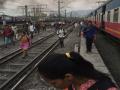 मध्य रेल्वे मार्गावर रुळाला तडा, लोकल वाहतूक विस्कळीत - Marathi News | Stalled on the Central Railway route, local traffic disrupted | Latest thane News at Lokmat.com