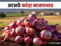 Onion Bajarbhav : आज राज्यात कांद्याला कुठे- काय भाव मिळाला? जाणून घ्या सविस्तर बाजारभाव  - Marathi News | Latest News 10 june Todays Onion bajarbhav In market yards check here onion market price june | Latest agriculture News at Lokmat.com