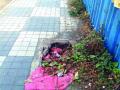ठाकुर्लीतील पदपथांवरील झाकणे तुटली, केडीएमसीचे होतेय दुर्लक्ष - Marathi News | Locked on the footpaths of Thakurli, KDMC was neglected | Latest thane News at Lokmat.com