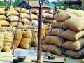 शासकीय धान खरेदी थंडबस्त्यात, शेतकऱ्यांची दिवाळी अंधारात ? - Marathi News | Government purchase of paddy is less, farmers' Diwali in the dark? | Latest gadchiroli News at Lokmat.com