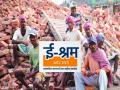 ई-श्रमची नोंदणी केली मात्र लाभाचे काय? दिला जातोय केवळ विम्याचा लाभ - Marathi News | E-Shram registered but what are the benefits? Only insurance benefits are being provided | Latest gadchiroli News at Lokmat.com