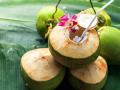 एका नारळामागे दहा रुपयांनी वाढ ! पुरवठा कमी असल्याने दर वाढले - Marathi News | An increase of ten rupees per coconut! Due to low supply, prices have increased | Latest bhandara News at Lokmat.com