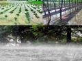 मान्सूनपूर्व पावसाचा तडाखा; २०७२ शेतकऱ्यांची पिके मातीमोल - Marathi News | Pre-monsoon rains hit; 2072 farmers' crops destroyed | Latest bhandara News at Lokmat.com
