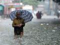 नागपूर विभागातील सहाही जिल्ह्यात १२० टक्के अधिक पाऊस - Marathi News | 120 percent more rainfall in all six districts of Nagpur division | Latest nagpur News at Lokmat.com