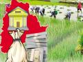 पाच हजार शेतकऱ्यांचे खाते एनपीए, बँकांनी कर्ज नाकारले - Marathi News | Five thousand farmers' accounts are NPA, banks deny loans | Latest gadchiroli News at Lokmat.com