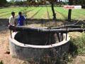 तीन हजारांवर विहिरी कागदावरच; सिंचनाचा 'दुष्काळ' संपणार कधी? - Marathi News | Over three thousand wells are only on paper; when will the irrigation 'drought' end? | Latest gadchiroli News at Lokmat.com