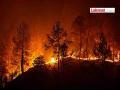मेळघाटच्या जंगलात वणवा पेटला; वृक्ष, वन्यजीव आले संकटात - Marathi News | Fire breaks out in Melghat forest; Trees, wildlife in danger | Latest amravati News at Lokmat.com