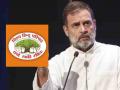 विहिंपची मागणी, राहुल गांधींनी देशाची माफी मागावी - Marathi News | VHP demands that Rahul Gandhi apologize to the country | Latest nagpur News at Lokmat.com