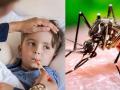 डेंग्यू आता 'सिझनल' नाही; मुलांच्या आरोग्यासाठी आताच व्हा सावध - Marathi News | Dengue is no longer 'seasonal'; be careful now for children's health | Latest nagpur News at Lokmat.com