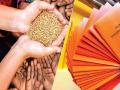 लाभार्थ्यांना ३ महिन्यांचे रेशन मिळणार एकाच वेळी - Marathi News | Beneficiaries will get 3 months of ration at once | Latest bhandara News at Lokmat.com