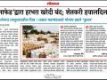 लोकमतचा दणका : अखेर मालेगाव येथे हरभरा खरेदीस प्रारंभ - Marathi News | Efect of Lokmat: Finally purchase of gram started at Malegaon | Latest vashim News at Lokmat.com