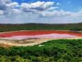 हॅलोअर्चिया सूक्ष्मजीवामुळे लोणार सरोवरातील पाणी गुलाबी - Marathi News | The water in Lonar lake is pink due to Haloarchia microorganism | Latest nagpur News at Lokmat.com