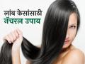 लांब आणि चमकदार केस हवे, ही इच्छा लगेच होईल पूर्ण! ३ नॅचरल गोष्टी केसांसाठी अमृत! - Marathi News | These 3 natural home remedies will be helpful for Long and shiny hair | Latest sakhi News at Lokmat.com
