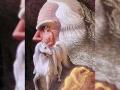या फोटोत तुम्हाला सर्वप्रथम काय दिसले? उत्तरावरुन कळेल तुमच्या लव्हलाईफचं सिक्रेट - Marathi News | optical illusion photo will predict your love relationship | Latest jarahatke News at Lokmat.com