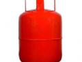 हायकोर्ट : रेशन कार्ड नसल्यास एलपीजी कनेक्शन देऊ नका - Marathi News | High Court: Do not give LPG connection if do not have a ration card | Latest nagpur News at Lokmat.com
