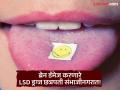 जगातील सर्वांत शक्तिशाली LSD ड्रग्जची छत्रपती संभाजीनगरात तस्करी; ‘Gen-Z’ टार्गेटवर - Marathi News | World's most powerful LSD drug smuggled into Chhatrapati Sambhajinagar; 'Gen-Z' targeted | Latest chhatrapati-sambhajinagar News at Lokmat.com