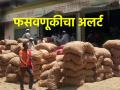 फसवणुकीचा अलर्ट! बाजार समितीबाहेर कापूस, मक्याची खरेदी वाढली - Marathi News | Fraud alert! Purchase of cotton, maize outside the market committee increased | Latest agriculture News at Lokmat.com