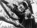 Lyudmila Pavlichenko Women Sniper of Ukraine: पुन्हा जागी झाली 'ल्यूडमिला'! महिला स्नायपरने तेव्हा ३०९ नाझी सैनिकांना टिपलेले, जर्मनीचे स्वप्न भंगलेले - Marathi News | Lyudmila Pavlichenko Women Sniper of Ukraine: world war 2 Dangerous female sniper shot 309 Nazi soldiers of Hitler Germany; inspiration story of Ukraine war Kiev | Latest international Photos at Lokmat.com