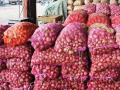 तिखट कांद्याची गोड बातमी; पुढच्या १५ दिवसांत १५ रुपयांनी होणार स्वस्त - Marathi News | Onion will come down to Rs 20 at the end of the month; Good arrival in the state including Nashik | Latest maharashtra News at Lokmat.com