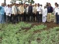 जमिनीचा सेंद्रीय कर्ब वाढल्यास भावी पिढीसाठी शेती वरदान - Marathi News |  Agricultural blessings for future generations if organic curbs of land are increased | Latest dhule News at Lokmat.com
