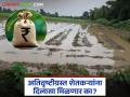 Nuksan Bharpai : पिकांचे नुकसान मान्य; मदतनिधी मंजूर पण खात्यात पैसे कधी येणार? वाचा सविस्तर - Marathi News | latest news Nuksan Bharpai: Crop damage acknowledged; Relief fund approved but when will the money arrive in the account? Read in detail | Latest agriculture News at Lokmat.com