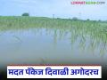 अतिवृष्टीग्रस्त शेतकऱ्यांना जाहीर करण्यात आलेल्या मदत पॅकेजचे नवीन अपडेट आले; वाचा सविस्तर - Marathi News | New update on relief package announced for farmers affected by heavy rains; Read in detail | Latest agriculture News at Lokmat.com