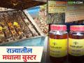 मधाचे गाव हा उपक्रम होतोय यशस्वी; राज्यात अजून या १० गावांना मिळणार ५ कोटींचा निधी - Marathi News | The Honey Village initiative is becoming a success; these 10 more villages in the state will receive a fund of Rs 5 crores | Latest agriculture News at Lokmat.com