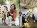 'जुळून येती रेशीमगाठी' फेम अभिनेत्रीने फार्महाऊसमध्ये बांधलाय गोठा, दोन गायी दत्तक घेऊन ठेवलं खास नाव - Marathi News | marathi actress madhugandha kulkarni adopt two cows shared video | Latest filmy News at Lokmat.com