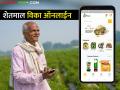 आता राज्यातील शेतकऱ्यांची शेती उत्पादनांची होणार ऑनलाईन विक्री; आलंय हे नवीन मोबाईल ॲप - Marathi News | Now the farmers of the state will sell their agricultural products online; This new app is here | Latest agriculture News at Lokmat.com