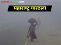 उत्तरेचे वारे राज्यात धडकले; कशी राहणार थंडी - Marathi News | North winds hit the state; How will it be cold? | Latest agriculture News at Lokmat.com