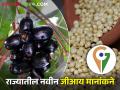 महाराष्ट्रातील सात कृषि उत्पादनांना जीआय मानांकन - Marathi News | GI rating of seven agricultural products in Maharashtra | Latest agriculture News at Lokmat.com