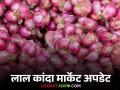 Kanda Bajarbhav : महाशिवरात्रीला कांद्याला काय भाव मिळाला? वाचा आजचे बाजारभाव  - Marathi News | Latest News Todays Kanda Market Mahashivratri onion prices see details | Latest agriculture News at Lokmat.com