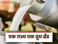 Dudh Dar : राज्यात दुधाला समान दर देण्यासाठी लवकरच सकारात्मक निर्णय - Marathi News | Dudh Dar : Positive decision soon to provide equal price for milk in the state | Latest agriculture News at Lokmat.com