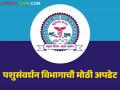 पशुसंवर्धन व दुग्धव्यवसाय विभागाच्या पुनर्रचनेनंतर होतायत हे दोन महत्वपूर्ण निर्णय; जाणून घ्या सविस्तर - Marathi News | These two important decisions are being taken after the reorganization of the Animal Husbandry and Dairying Department; Know the details | Latest agriculture News at Lokmat.com