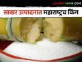 Maharashtra Sugar Production राज्यात इतके लाख टन साखरेचे उत्पादन; गेल्या वर्षापेक्षा ५ लाख टनांची वाढ - Marathi News | Maharashtra Sugar Production So many lakh tonnes of sugar produced in the state; An increase of 5 lakh tonnes over last year | Latest agriculture News at Lokmat.com