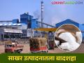 देशात सर्वोच्च साखर उत्पादन करण्यात कोणते राज्य आघाडीवर - Marathi News | Which state leads in the highest production of sugar in the country? | Latest agriculture News at Lokmat.com