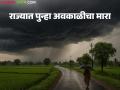 पुढील पाच दिवस राज्यातील 'या' भागात वीजांच्या कडकडाटासह वादळी पाऊस पडणार - Marathi News | Thunderstorms accompanied by lightning will occur in these parts of the state for the next five days | Latest agriculture News at Lokmat.com