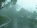 Satara: महाबळेश्वरमध्ये पावसाचा जोर वाढला; जनजीवन विस्कळीत - Marathi News | Heavy rains increased in Mahabaleshwar; Life disrupted | Latest satara News at Lokmat.com