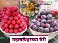 Mahabaleshwar Strawberry : महाबळेश्वरमधील स्ट्रॉबेरीच्या जोडीला रासबेरी अन् गुजबेरी; कसा मिळतोय दर? - Marathi News | Mahabaleshwar Strawberry : Raspberries and gooseberries are added to strawberries in Mahabaleshwar; How are they getting the price? | Latest agriculture News at Lokmat.com