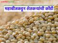 Mahabeej Soybean Seeds: महाबीजकडून शेतकऱ्यांना खरीप आधीच मोठा झटका वाचा सविस्तर - Marathi News | latest news Mahabeej Soybean Seeds: Mahabeej gives farmers a big blow before Kharif season Read in detail | Latest agriculture News at Lokmat.com