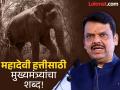 Mahadevi Elephant : 'महादेवी' हत्तीसाठी मुख्यमंत्र्यांचा पुढाकार! राज्य सरकारने घेतला मोठा निर्णय; बैठकीत काय ठरलं? - Marathi News | Chief Minister devendra fadnavis initiative for 'Mahadevi' elephant State government took a big decision; What was decided in the meeting? | Latest mumbai News at Lokmat.com