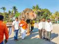 महादेवी हत्तीण परत द्या, राष्ट्रपतींना सह्यांसह साकडे - Marathi News | Return the Mahadevi elephant, send it to the President with signatures | Latest kolhapur News at Lokmat.com