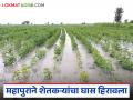 Godavari Flood Impact : गोदाकाठच्या गावांवर संकट; महापुराने शेतकऱ्यांचा घास हिरावला वाचा सविस्तर - Marathi News | latest news Godavari Flood Impact: Crisis on villages along Godavari; Floods rob farmers of their crops Read in detail | Latest agriculture News at Lokmat.com