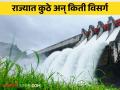 Maharashtra Dam Discharged : राज्यात कुठे अन् किती विसर्ग वाढवला, वाचा सविस्तर - Marathi News | Maharashtra Dam Discharged: Where and how much discharge has been increased in the state, read in detail | Latest agriculture News at Lokmat.com