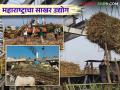 Sugar Industry in Maharashtra : भविष्यामध्ये महाराष्ट्रातील साखर उद्योग कसा असू शकेल वाचा सविस्तर - Marathi News | Sugar Industry in Maharashtra : Read in detail how the sugar industry in Maharashtra can be in the future | Latest agriculture News at Lokmat.com