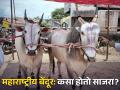 Maharashtra Bendur 2024 महाराष्ट्रीय बेंदूर: बैलांबाबत कृतज्ञता व्यक्त करण्याचा दिवस; नेमका कसा साजरा होतो सण? - Marathi News | know about how exactly celebrate maharashtrian bendur in maharashtra and significance | Latest bhakti News at Lokmat.com