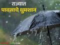 Maharashtra Rain Update : राज्याला पावसाने झोडपले ; मराठवाड्यात 'इतके' टक्के पावसाची नोंद - Marathi News | Maharashtra Rain Update: Rain lashed the state; Marathwada recorded 'so much' percent rainfall | Latest agriculture News at Lokmat.com
