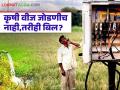 Mahavitaran Billing Mistake : कृषी वीज जोडणीच नाही, तरीही बिल? शेतकऱ्याचा धक्कादायक अनुभव समोर - Marathi News | latest news Mahavitaran Billing Mistake: No agricultural electricity connection, yet bill? Farmer's shocking experience revealed | Latest agriculture News at Lokmat.com