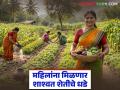राज्यातील 'या' नऊ जिल्ह्यात ५००० हून अधिक महिला शेतकऱ्यांना मिळणार शाश्वत शेतीचे प्रशिक्षण - Marathi News | More than 5000 women farmers from these nine districts of the state will receive training in sustainable farming | Latest agriculture News at Lokmat.com
